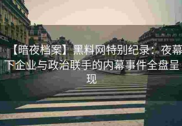 【暗夜档案】黑料网特别纪录：夜幕下企业与政治联手的内幕事件全盘呈现