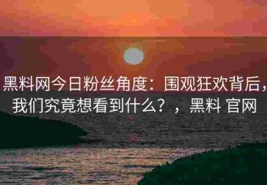 黑料网今日粉丝角度：围观狂欢背后，我们究竟想看到什么？，黑料 官网