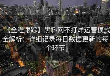 【全程跟踪】黑料网不打烊运营模式全解析：详细记录每日数据更新的每个环节