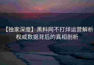 【独家深度】黑料网不打烊运营解析：权威数据背后的真相剖析