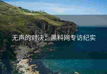 无声的对决：黑料网专访纪实