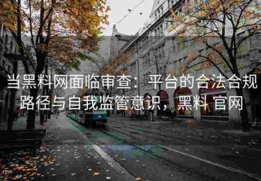 当黑料网面临审查：平台的合法合规路径与自我监管意识，黑料 官网