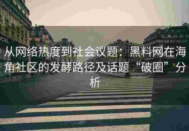 从网络热度到社会议题：黑料网在海角社区的发酵路径及话题“破圈”分析