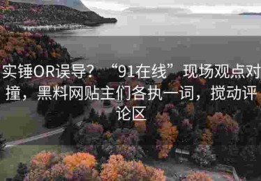 实锤OR误导？“91在线”现场观点对撞，黑料网贴主们各执一词，搅动评论区