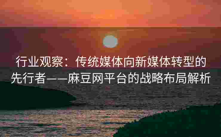 行业观察：传统媒体向新媒体转型的先行者——麻豆网平台的战略布局解析