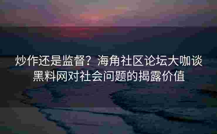 炒作还是监督？海角社区论坛大咖谈黑料网对社会问题的揭露价值